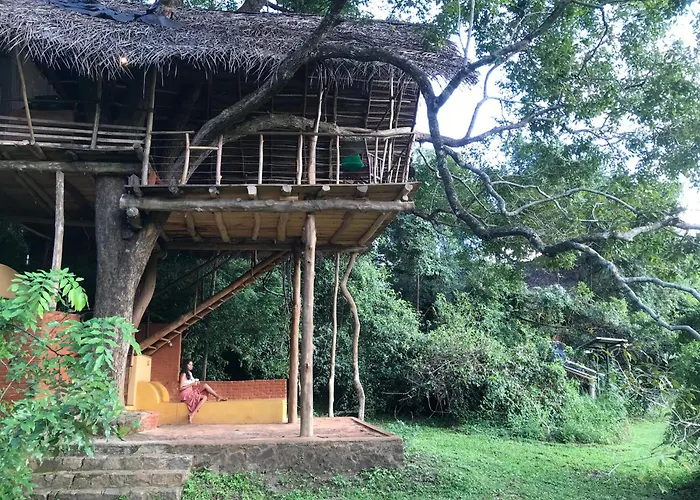 Back Of Beyond - Wild Haven