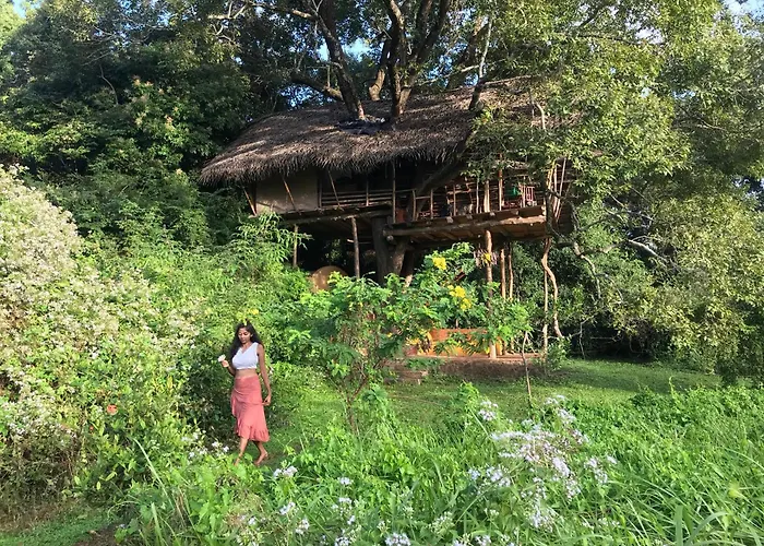 Back Of Beyond - Wild Haven