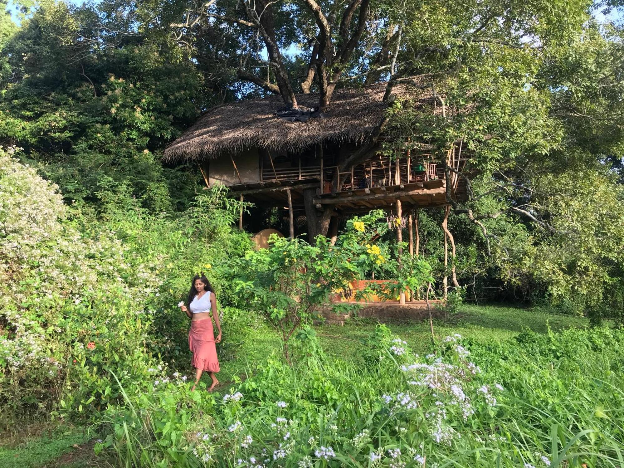 Back Of Beyond - Wild Haven