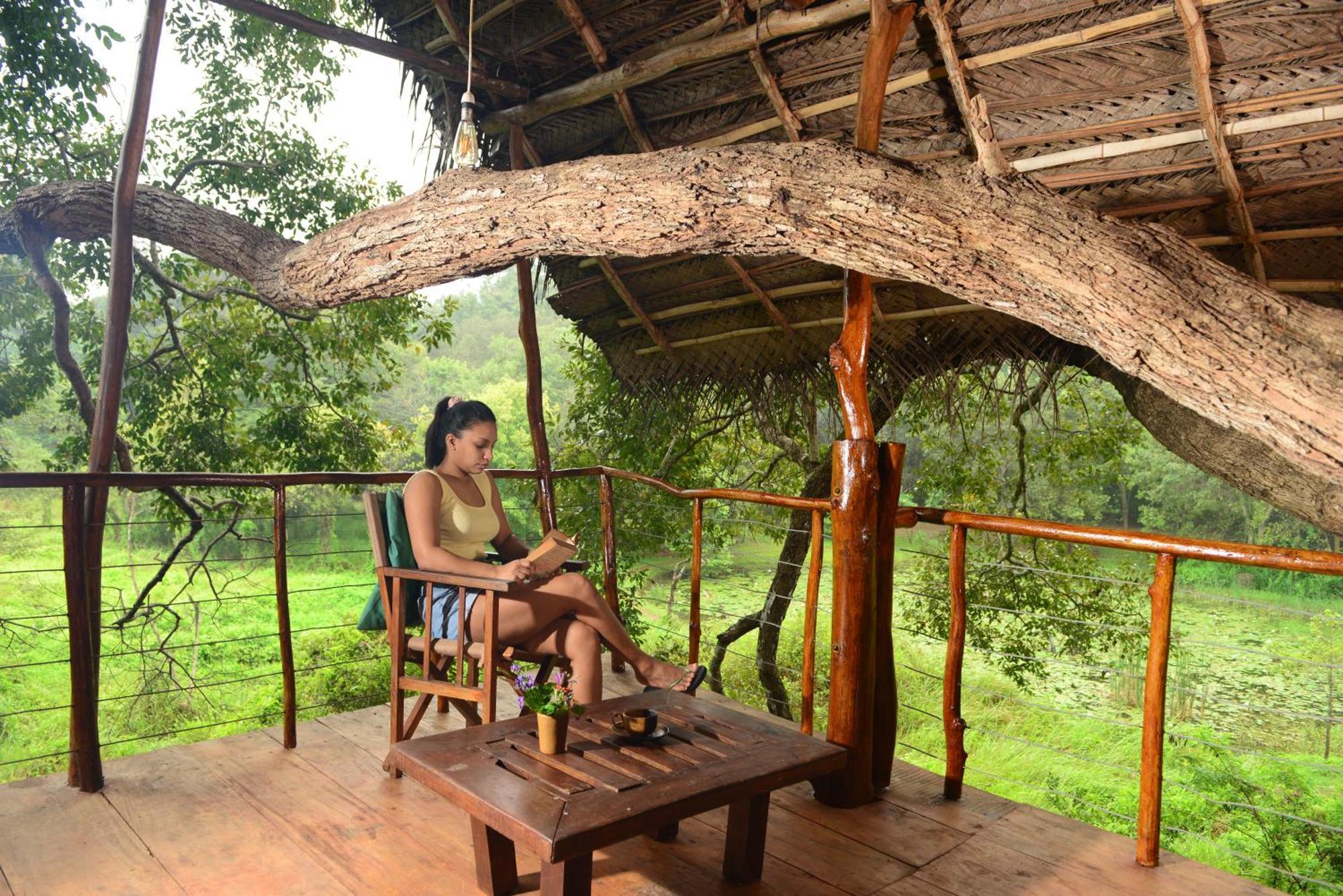 Back Of Beyond - Wild Haven