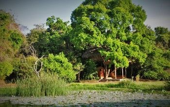 Back Of Beyond - Wild Haven * Sigiriya